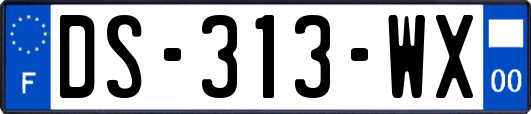 DS-313-WX