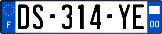 DS-314-YE
