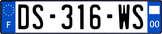 DS-316-WS