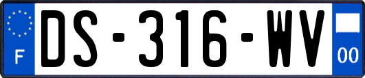 DS-316-WV