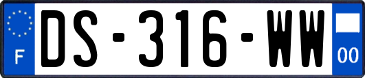 DS-316-WW