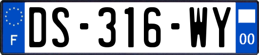 DS-316-WY
