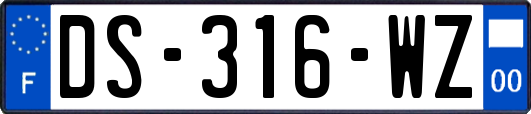 DS-316-WZ