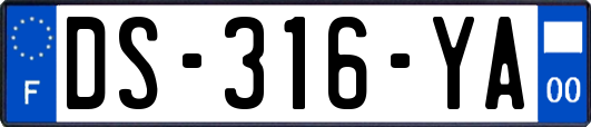 DS-316-YA