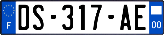 DS-317-AE