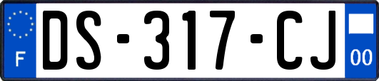 DS-317-CJ