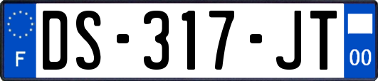 DS-317-JT