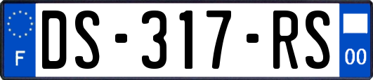 DS-317-RS