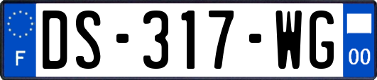 DS-317-WG