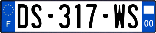 DS-317-WS