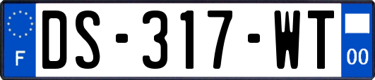 DS-317-WT