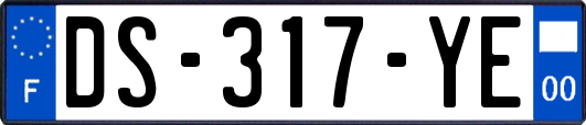 DS-317-YE