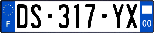 DS-317-YX