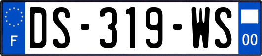 DS-319-WS