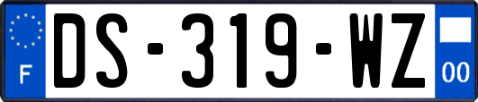 DS-319-WZ