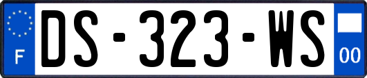 DS-323-WS