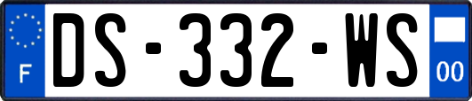 DS-332-WS