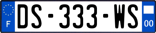 DS-333-WS