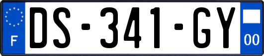 DS-341-GY