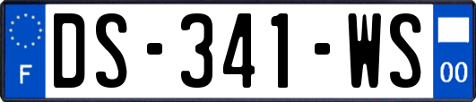 DS-341-WS