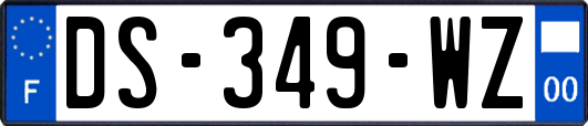 DS-349-WZ