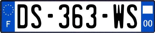 DS-363-WS