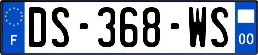DS-368-WS