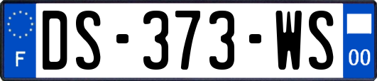 DS-373-WS