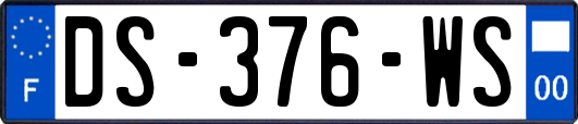DS-376-WS