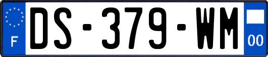 DS-379-WM