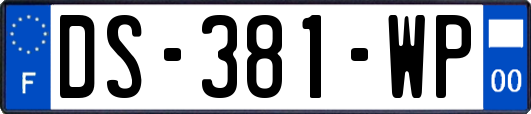 DS-381-WP