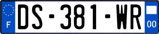 DS-381-WR