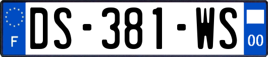 DS-381-WS
