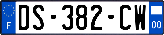 DS-382-CW