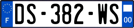DS-382-WS