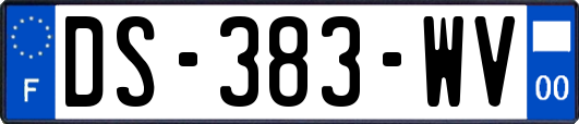 DS-383-WV