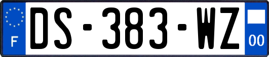 DS-383-WZ