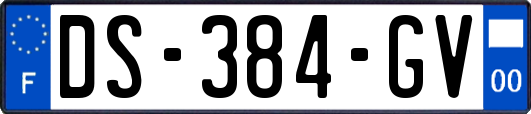 DS-384-GV