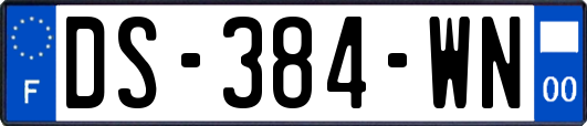 DS-384-WN