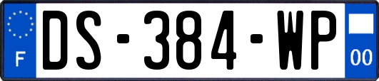 DS-384-WP