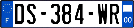 DS-384-WR