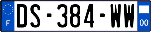 DS-384-WW