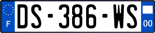 DS-386-WS