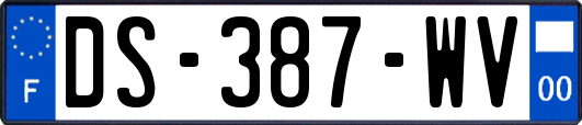 DS-387-WV