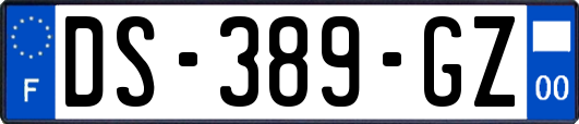 DS-389-GZ