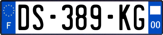 DS-389-KG