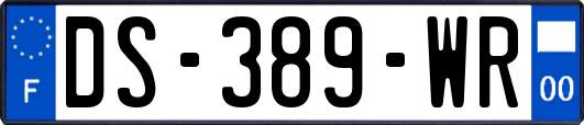 DS-389-WR