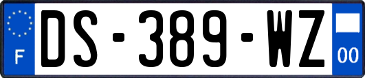 DS-389-WZ