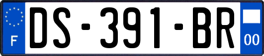 DS-391-BR