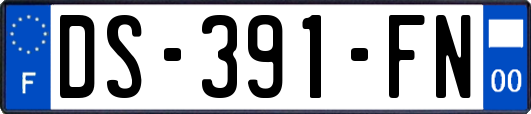 DS-391-FN